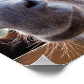 lächelnder Donkey Poster (Ecke)