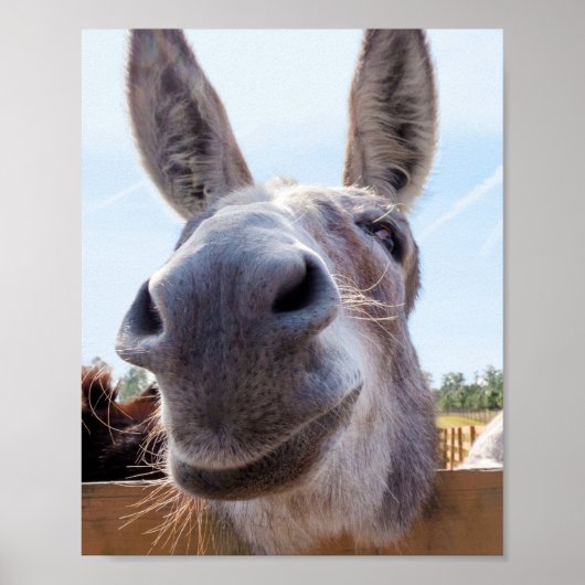 lächelnder Donkey Poster (Vorne)