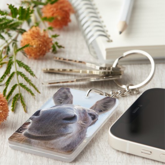 lächelnder Donkey Schlüsselanhänger (Vorderseite rechts)