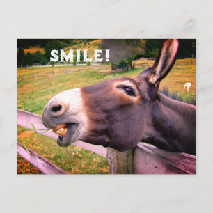 Lächelnder Esel Benutzerdefinierter Text Lustiges Postkarte