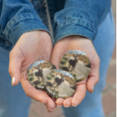 Lächelnder Esel, Oatman Arizona, Route 66 Button