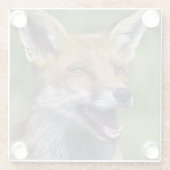 Lächelnder Fuchs Glasuntersetzer (Rückseite)
