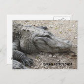 Lächelnder Gator Postkarte (Vorne/Hinten)