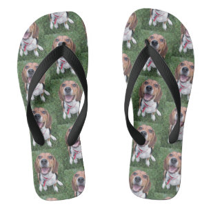 Lächelnder glücklicher Gesichts-Beagle-Welpe Badesandalen