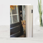 Lächelnder Golden Retriever Dog Peking Out Door Hi Karte (Vorderseite)