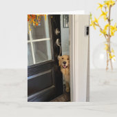 Lächelnder Golden Retriever Dog Peking Out Door Hi Karte (Gelbe Blume)