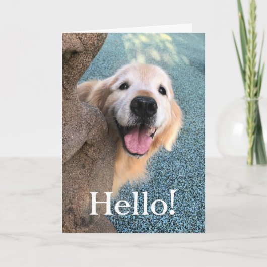 Lächelnder Golden Retriever Hund Poppen aus, um zu Karte (Vorderseite)