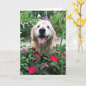 Lächelnder Golden Retriever Hund unter Blume Leere Karte (Gelbe Blume)