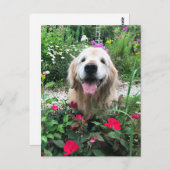 Lächelnder Golden Retriever Hund unter Blume Leere Postkarte (Vorne/Hinten)