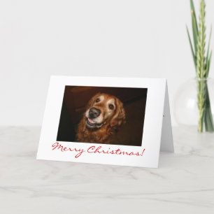 Lächelnder Hund Frohe Weihnachten