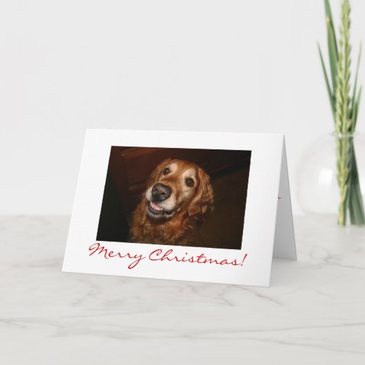 Lächelnder Hund Frohe Weihnachten (Vorderseite)