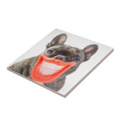 Lächelnder Hund Getty Bild-| A Fliese (Seite)