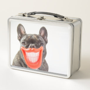 Lächelnder Hund Getty Bild-  A Metall Lunch Box