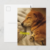 Lächelnder Hund Postkarte (Vorne/Hinten)