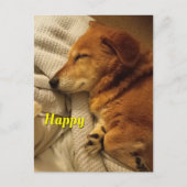 Lächelnder Hund Postkarte (Vorderseite)