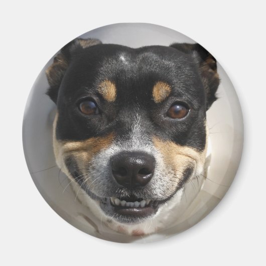 Lächelnder Hundemagnet Magnet (Vorne)