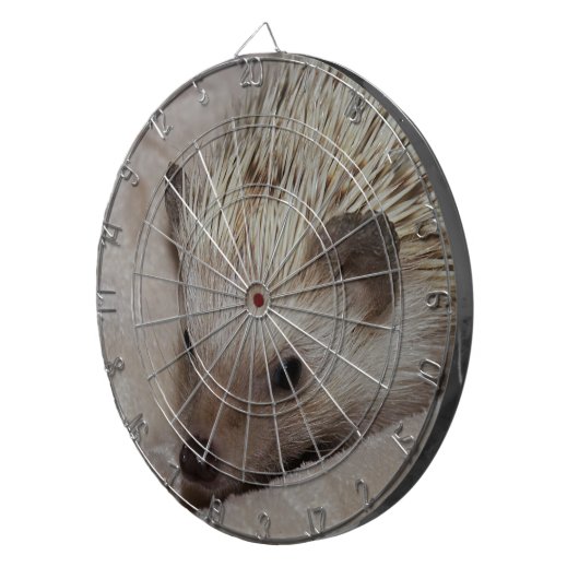 Lächelnder Igel Dartscheibe (Vorderseite rechts)