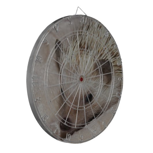 Lächelnder Igel Dartscheibe (Vorderseite Links)