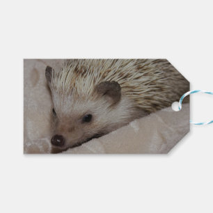 Lächelnder Igel Geschenkanhänger