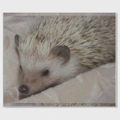 Lächelnder Igel Geschenkpapier (Flach)