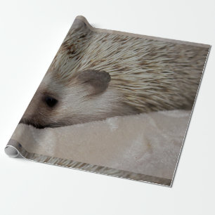 Lächelnder Igel Geschenkpapier