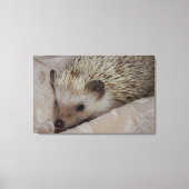 Lächelnder Igel Leinwanddruck (Vorderseite)