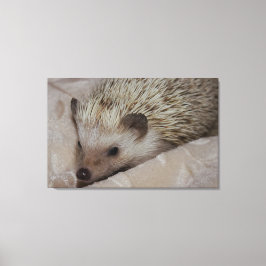 Lächelnder Igel Leinwanddruck