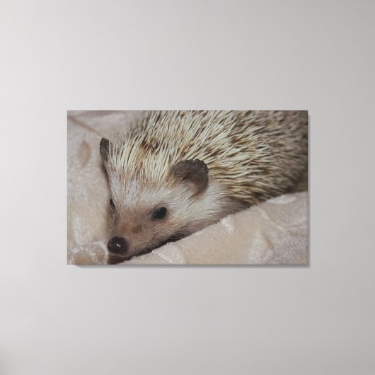 Lächelnder Igel Leinwanddruck (Vorderseite)