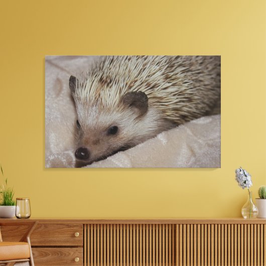 Lächelnder Igel Leinwanddruck (Insitu (Wohnzimmer))