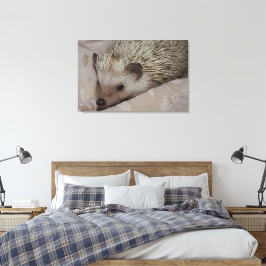 Lächelnder Igel Leinwanddruck (Insitu (Schlafzimmer))