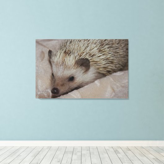 Lächelnder Igel Leinwanddruck (Insitu (Holzboden))