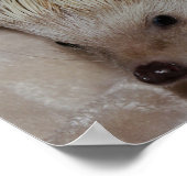 Lächelnder Igel Poster (Ecke)