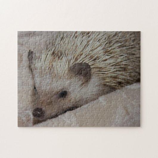 Lächelnder Igel Puzzle (Horizontal)