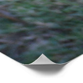 Lächelnder Jack Russell Terrier Poster (Ecke)