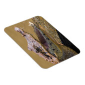 Lächelnder Krokodil Magnet (Rechte Seite)