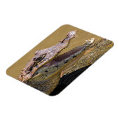 Lächelnder Krokodil Magnet (Linke Seite)