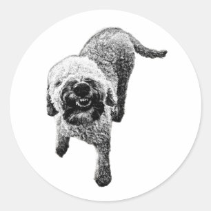 Lächelnder Lagotto-Aufkleber – Alberne Hunde-Energ Runder Aufkleber