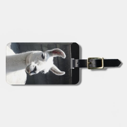 Lächelnder Lama-Gepäckanhänger Gepäckanhänger (Vorderseite horizontal)