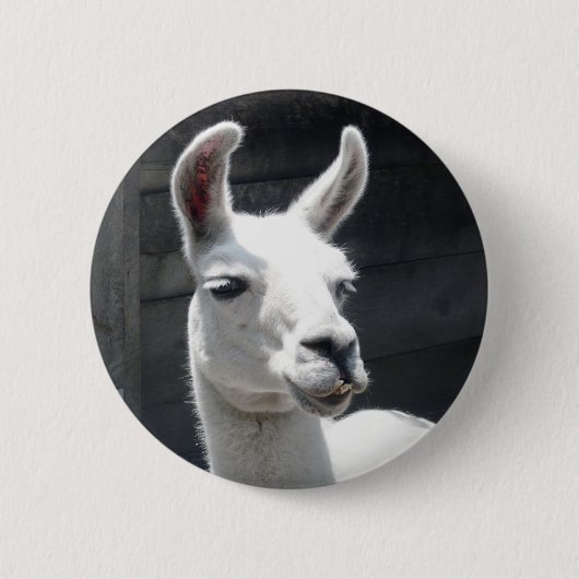 Lächelnder Lama-Knopf Button (Vorderseite)