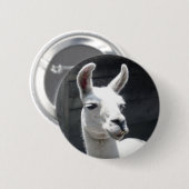 Lächelnder Lama-Knopf Button (Vorne & Hinten)