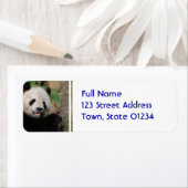 Lächelnder Panda-Bär (Insitu)