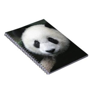 Lächelnder Panda-Bär Notizblock