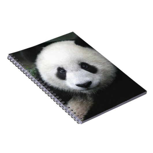 Lächelnder Panda-Bär Notizblock (Rechte Seite)