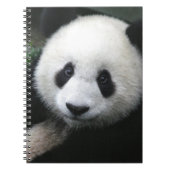 Lächelnder Panda-Bär Notizblock (Vorderseite)