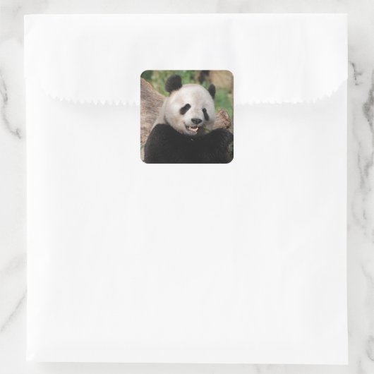 Lächelnder Panda-Bär Quadratischer Aufkleber (Tasche)