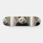 Lächelnder Panda-Bär Skateboard (Horizontal)