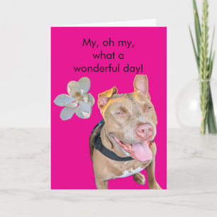Lächelnder Pit Bull Geburtstag Karte
