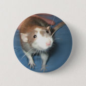 LÄCHELNDER RATTEpin-/knopf Button (Vorderseite)