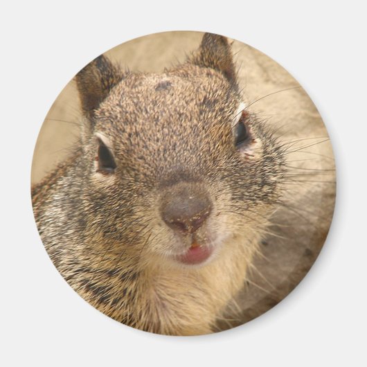 Lächelnder Rundmagnet Magnet (Vorne)