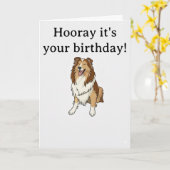 Lächelnder Sheltie Karte (Gelbe Blume)